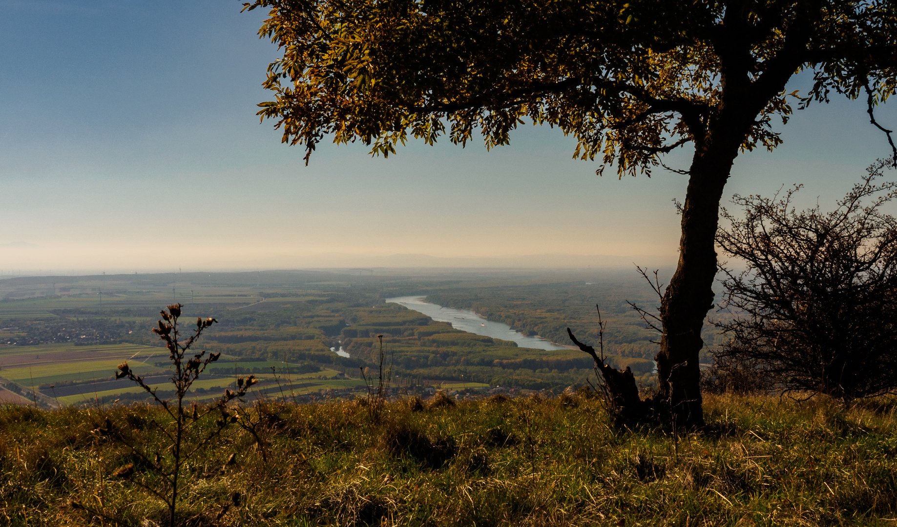 Donaublick