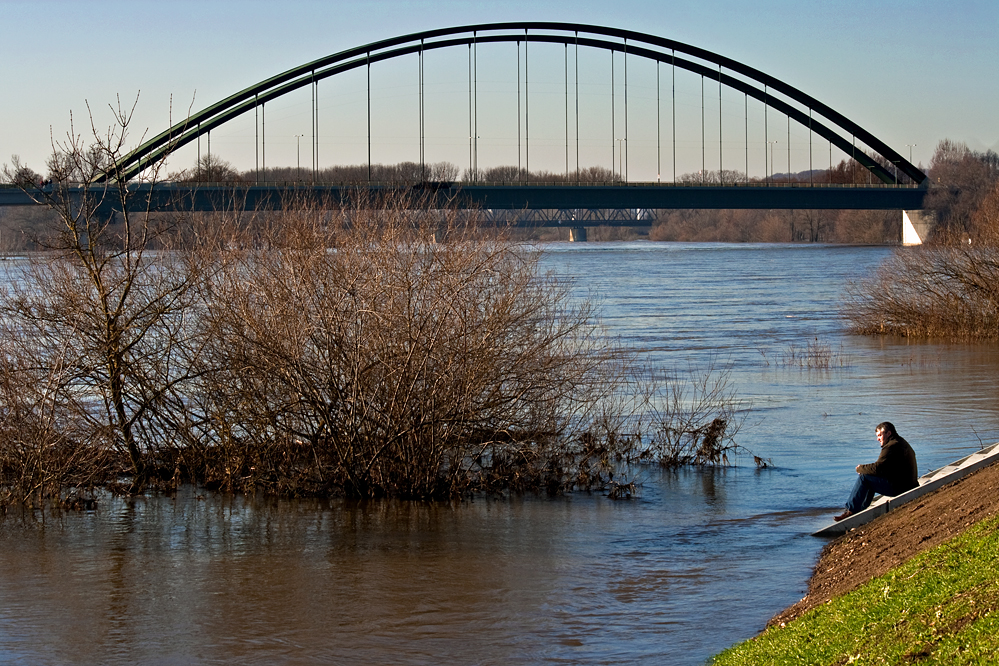 Donaublick