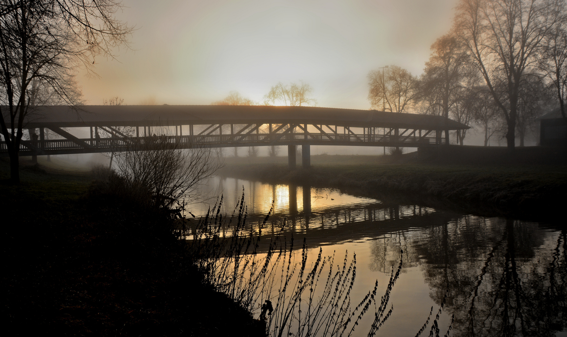 Donaubrücke