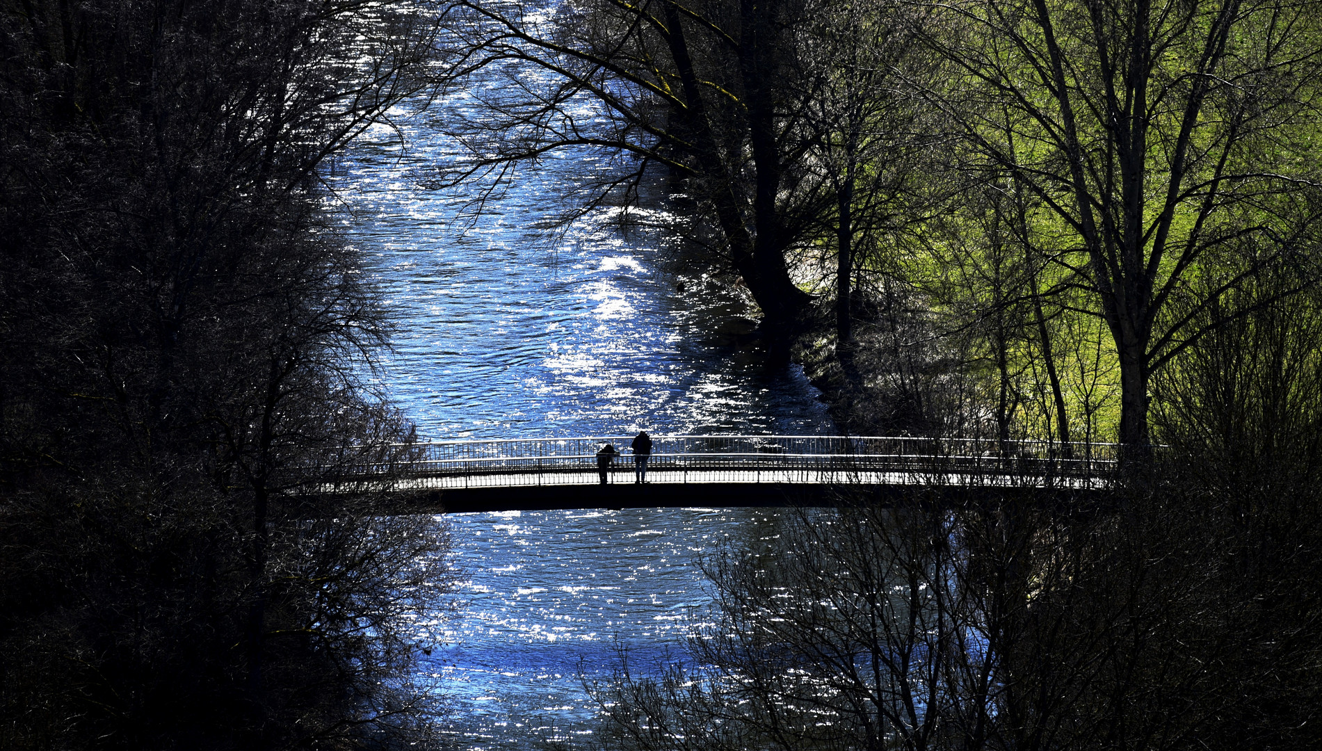 Donaubrücke