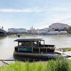 Donaubus