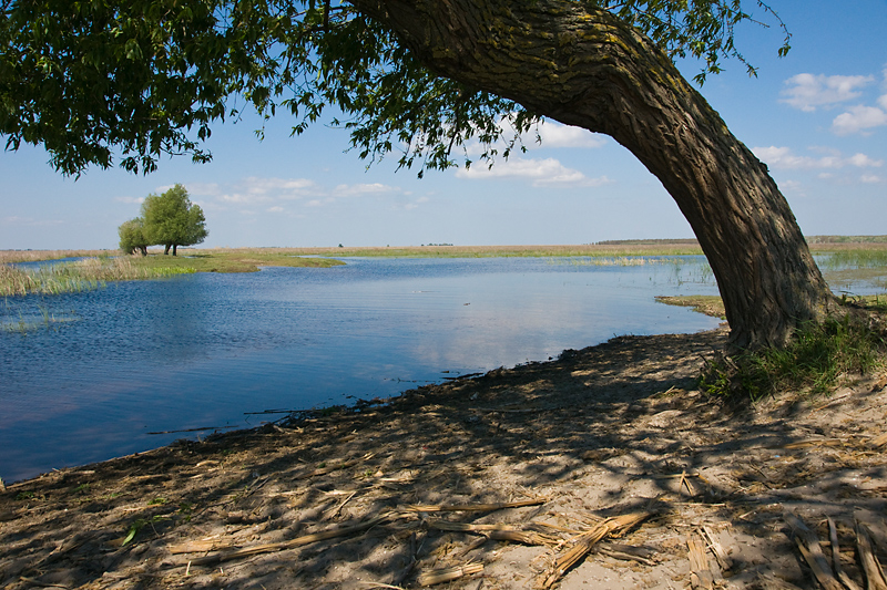 Donaudelta