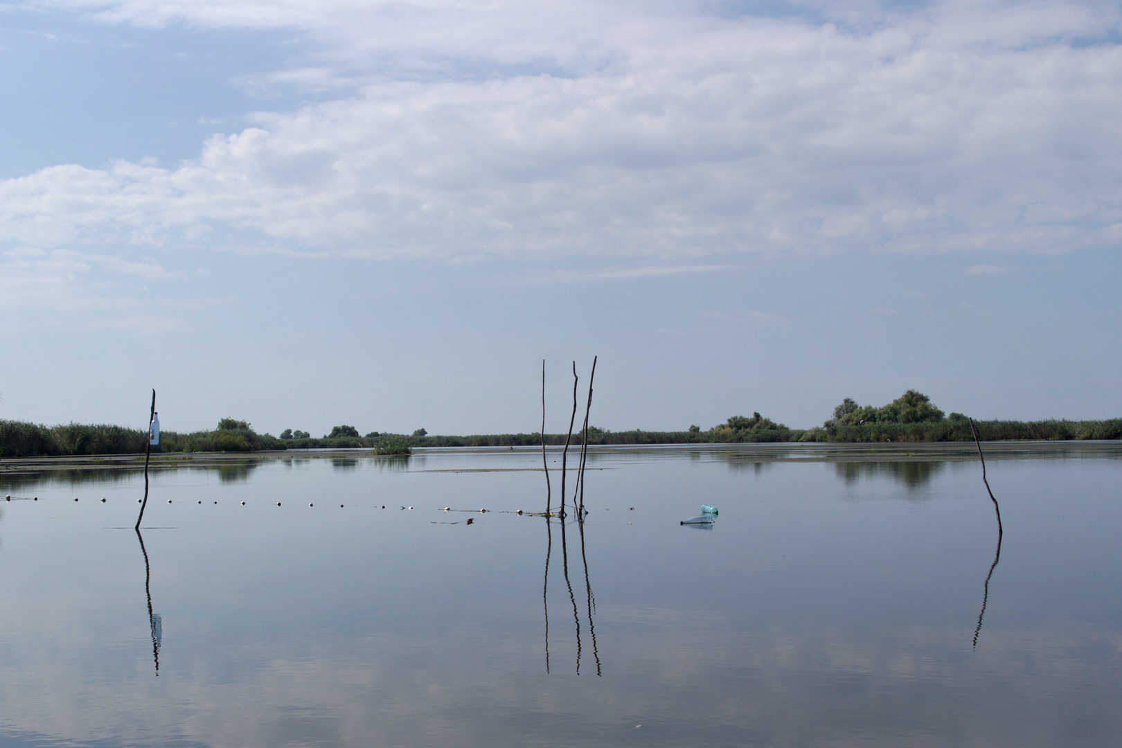 Donaudelta