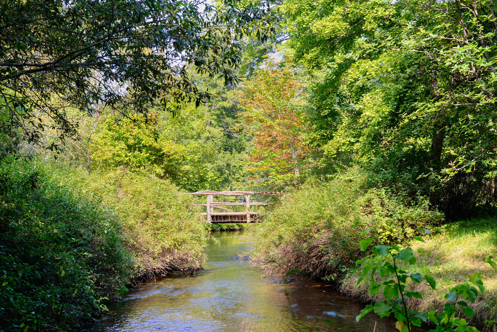 Donaueschingen: Schlosspark