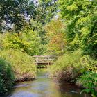 Donaueschingen: Schlosspark