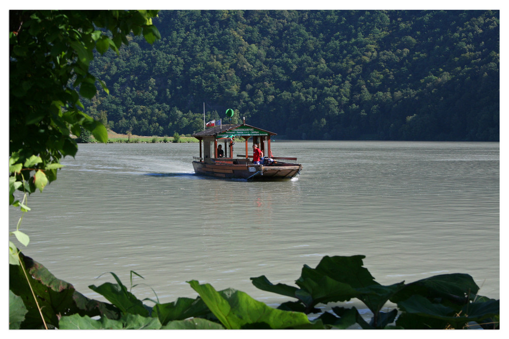 Donaufähre bei Schlögen