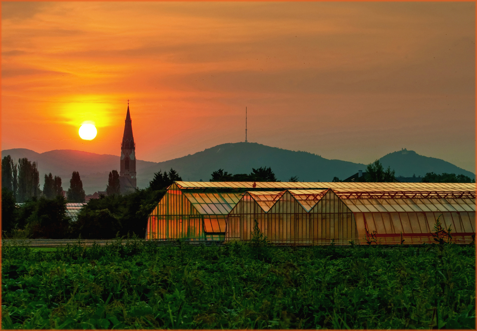 Donaufeld im Sonnenuntergang