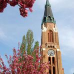 Donaufelderkirche mit blühendem Japanischen Nelkenkirschenbäumchen.