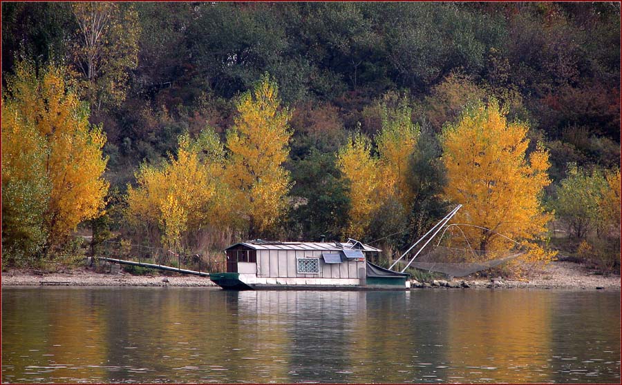 Donaufischer im Herbst