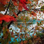 Donauherbst