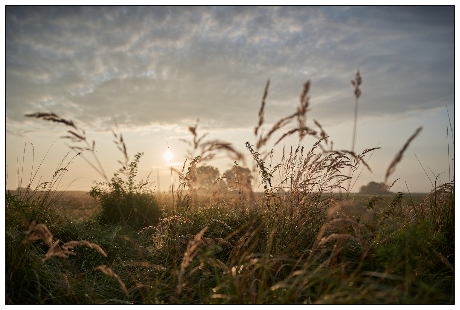 Donau_Herbstnebel-2