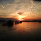 Donauhochwasser im Januar 2011