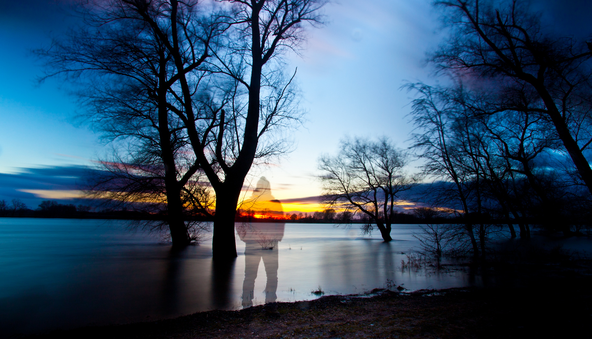 Donauhochwasser Jan.2015