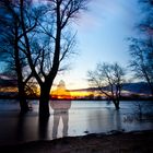 Donauhochwasser Jan.2015