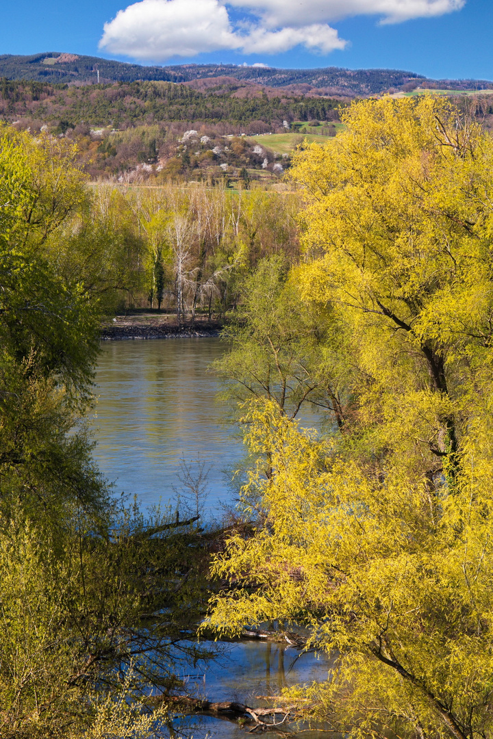 Donauimpressionen