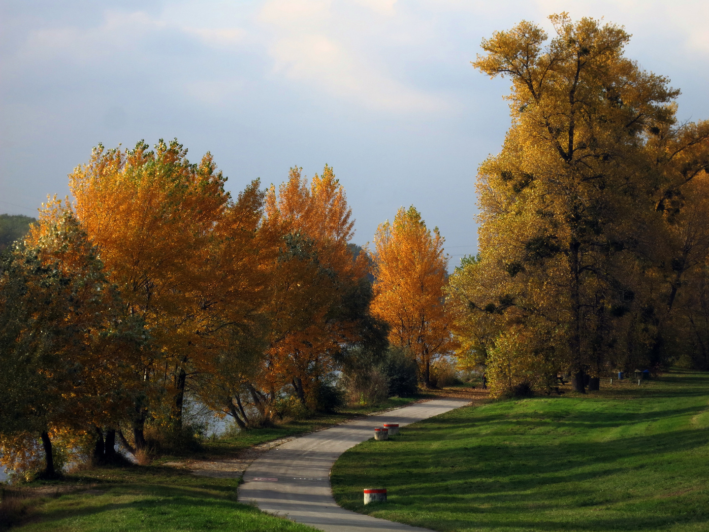 Donauinsel