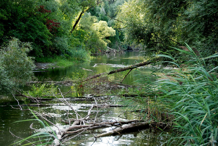 Donauinsel im AUG-2009