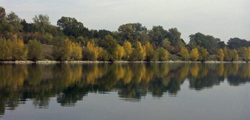 Donauinsel im Herbst