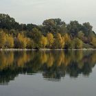 Donauinsel im Herbst