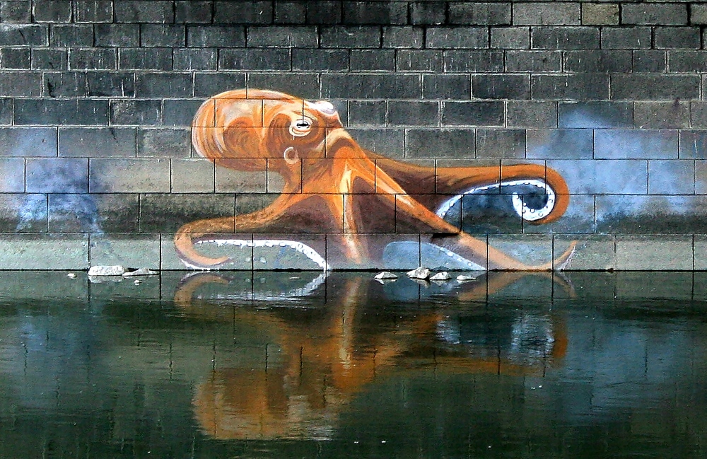 Donaukanal-Krake