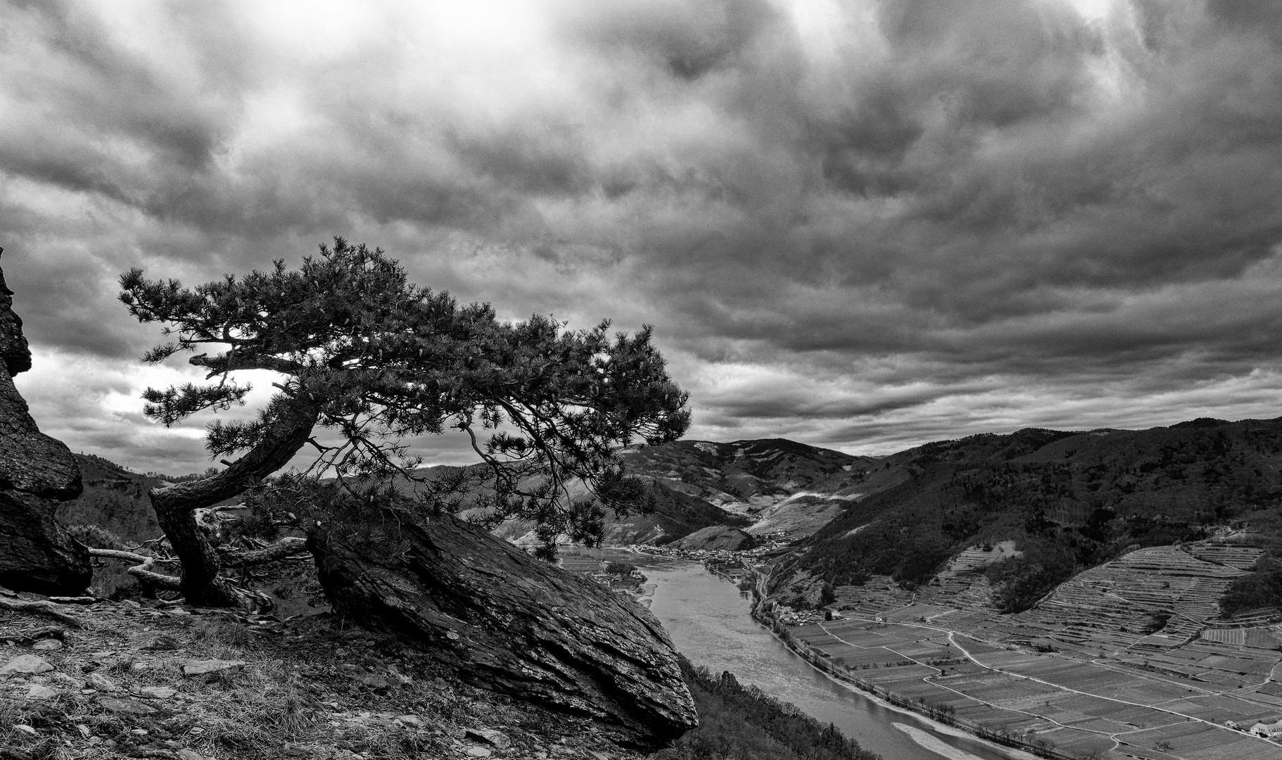 Donaulandschaft Wachau Österreich