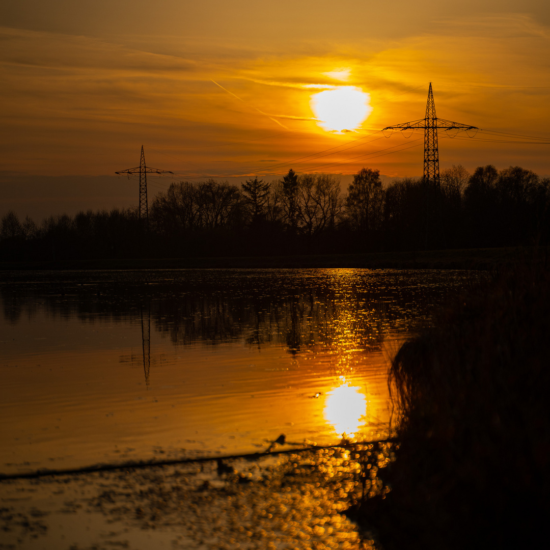 #donauliebe