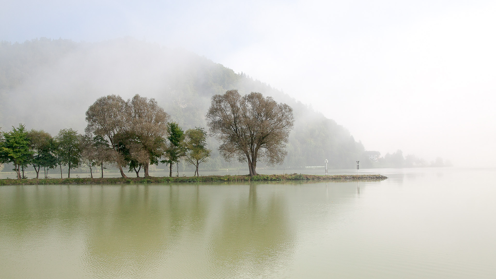 Donaunebel