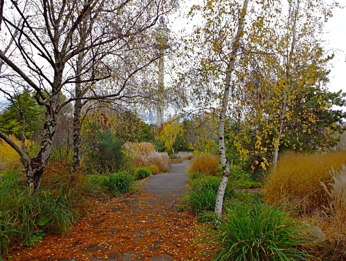 donaupark