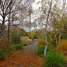 donaupark