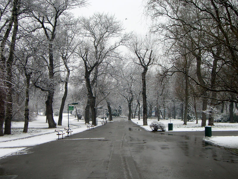 Donaupark im ersten Schnee...