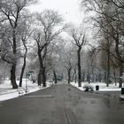 Donaupark im ersten Schnee...