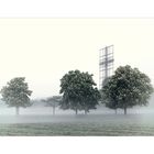 Donaupark im Nebel