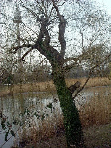 Donaupark Wien 1220