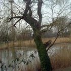 Donaupark Wien 1220