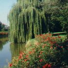 Donaupark Wien