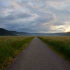 Donauradwanderweg zwischen Nendingen und Stetten