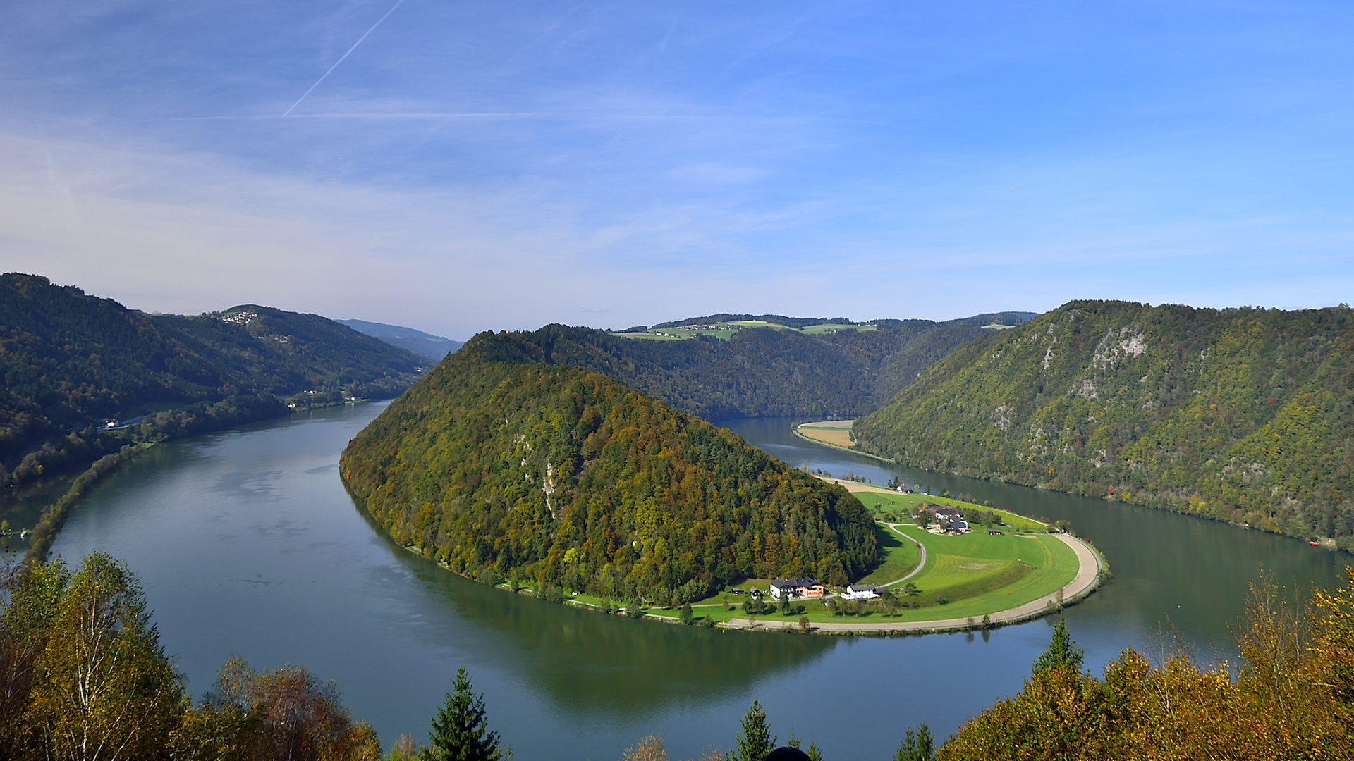 Donauschlinge in Schlögen