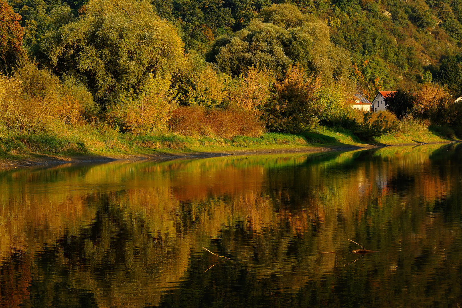 Donauspiegelung bei Niedrigwaser