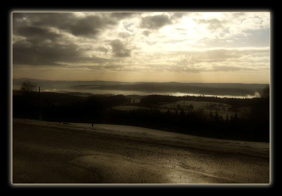 Donautal im Nebel