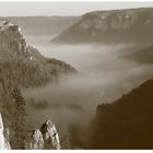 Donautal Schloss Werenwag im Nebel