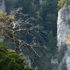 Donautal, vom Schaufelsen