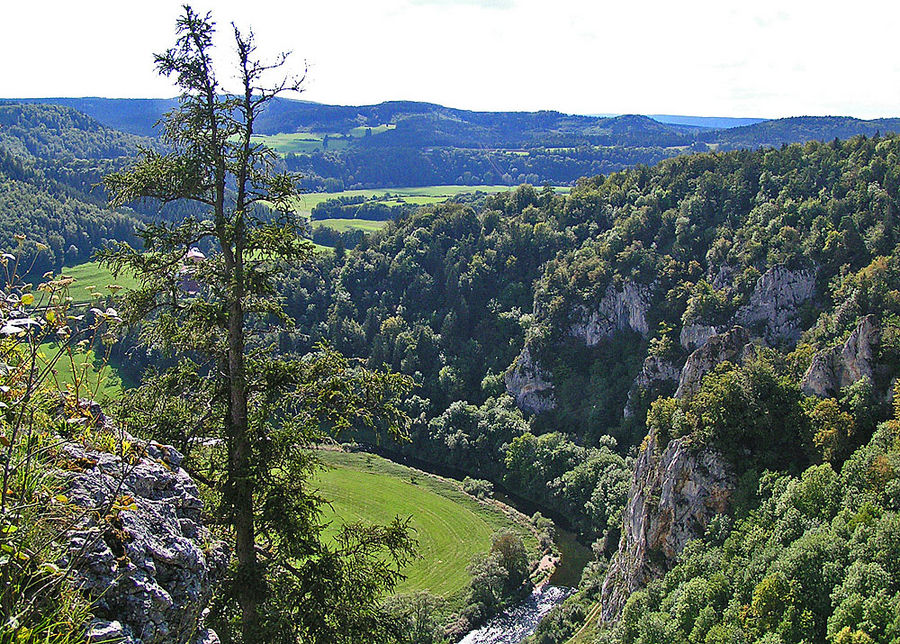 Donautalblick