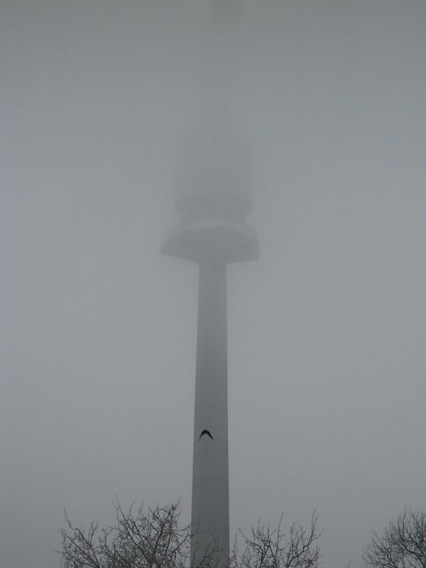 Donauturm im Nebel...