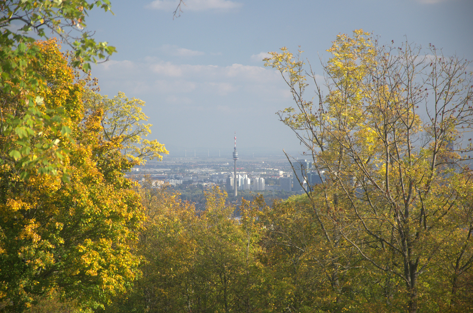 Donauturm in herbstlicher Ferne