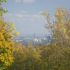 Donauturm in herbstlicher Ferne