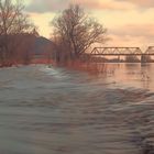 Donauüberlauf im Abendlicht