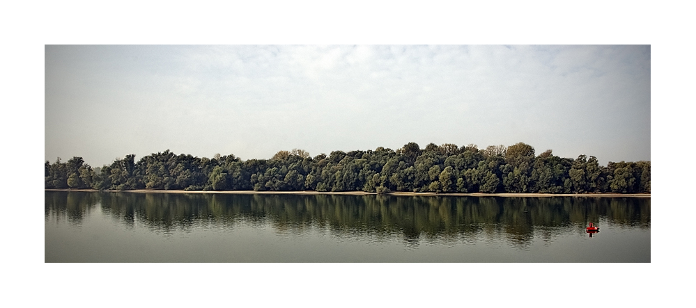 Donauufer (4)