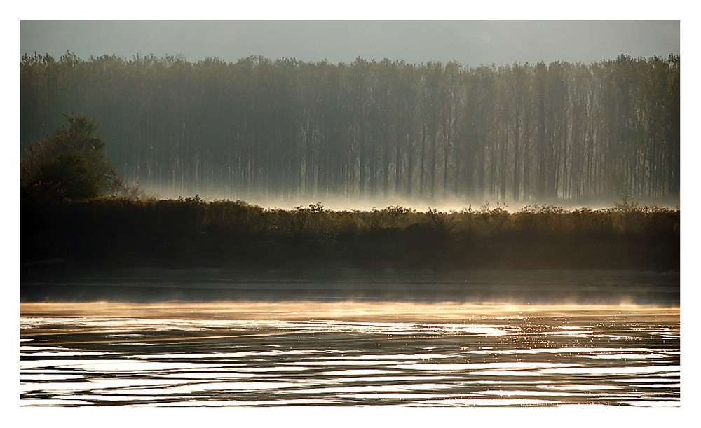 Donauufer (5)