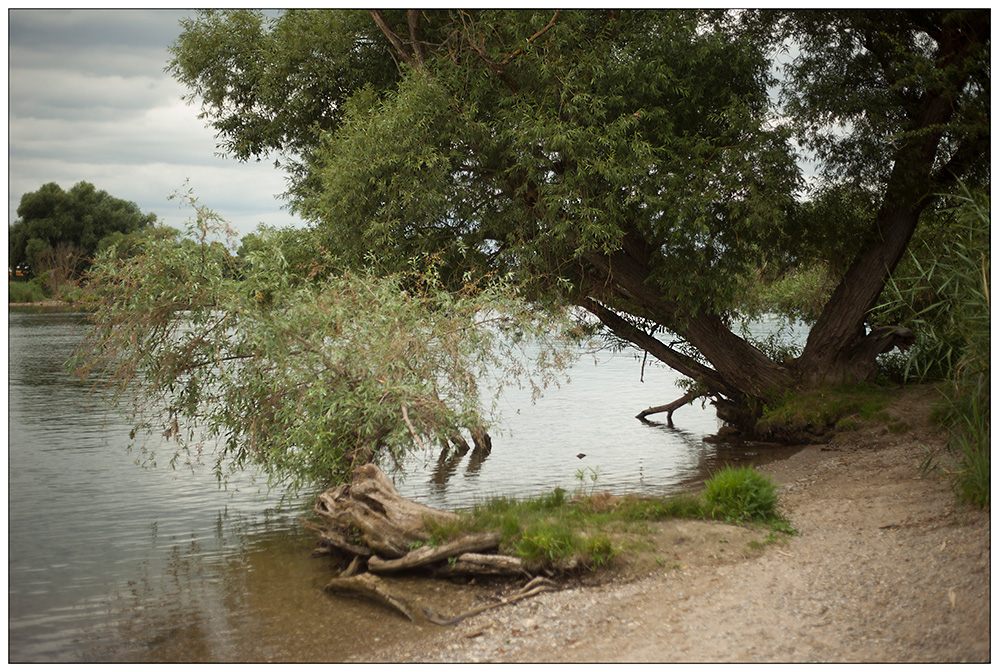 Donauufer