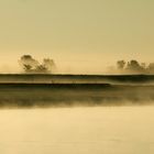 Donauufer im Dunst